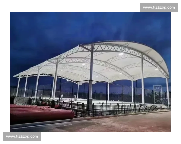 看台区域设计与观赛体验提升策略全面研究与应用